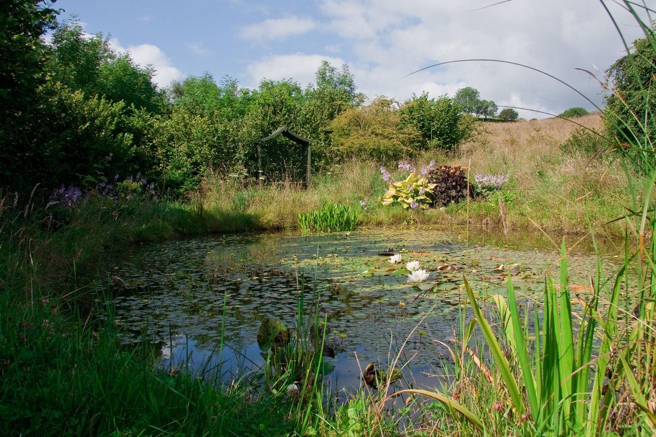 Ghyll Farm B & B Lamplugh Eksteriør bilde